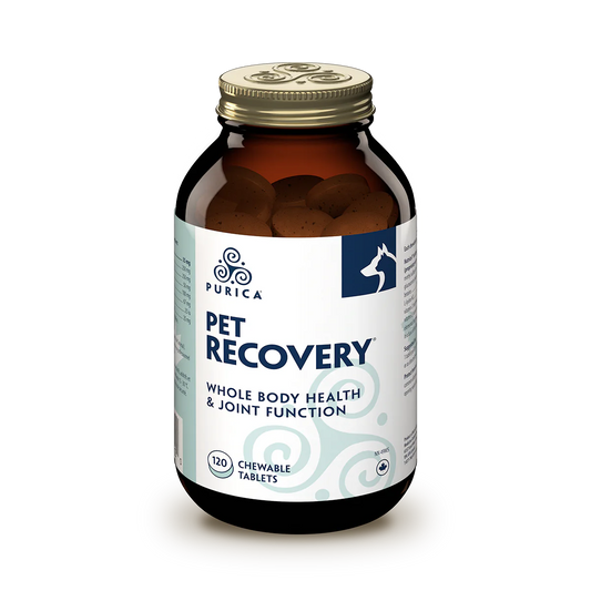 Pet Recovery 120 chewable tabs