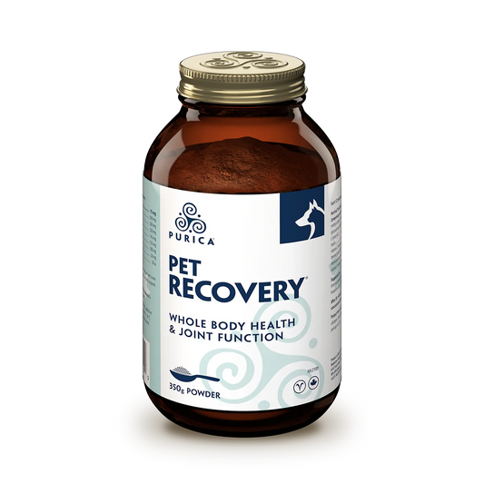 Pet Recovery 350g