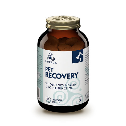 Pet Recovery 60 chewable tabs